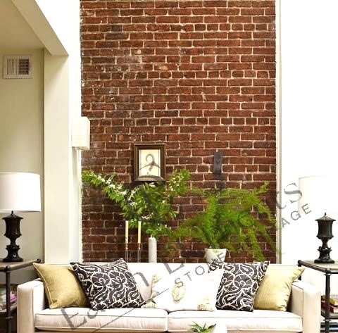 Wire Cut Bricks ( B C 003)